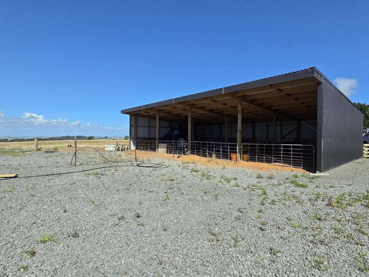 Mount Wesley Coast Road Dargaville_8