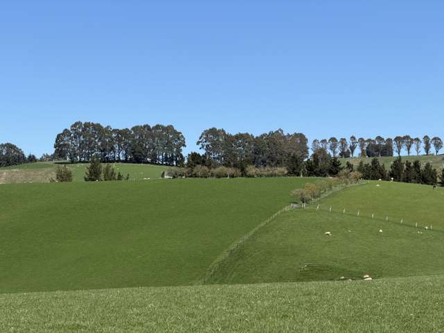 1680 Mahinerangi Road Lee Stream_1