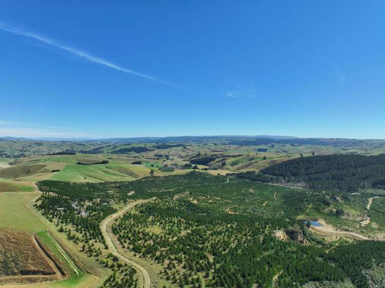 Waitahuna Gully Road Waitahuna Gully_14