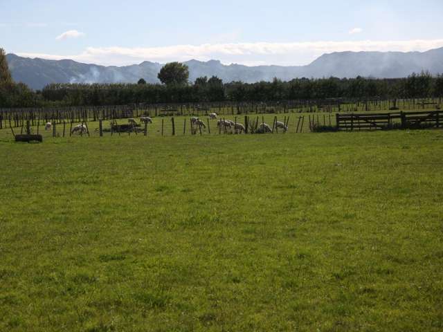 62 Saleyards Road Matawhero_2