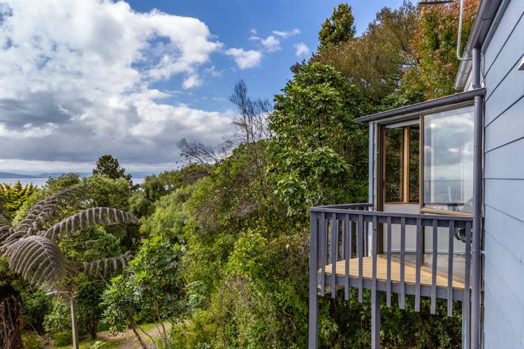 19 Kamahi Terrace Omori_14