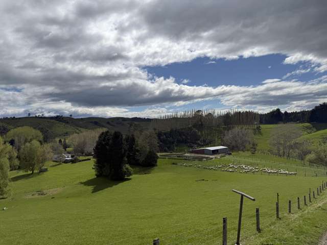 2207 Otautau Tuatapere Road Pukemaori_1