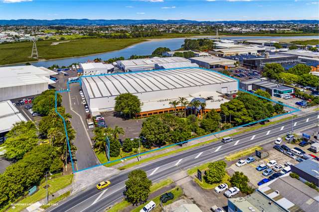 494 Rosebank Road Avondale_3