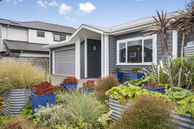 28 Myrtle Street Lower Hutt_1