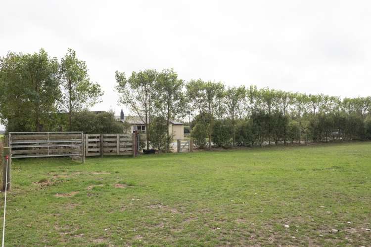 19 Gills Road Hinds_15