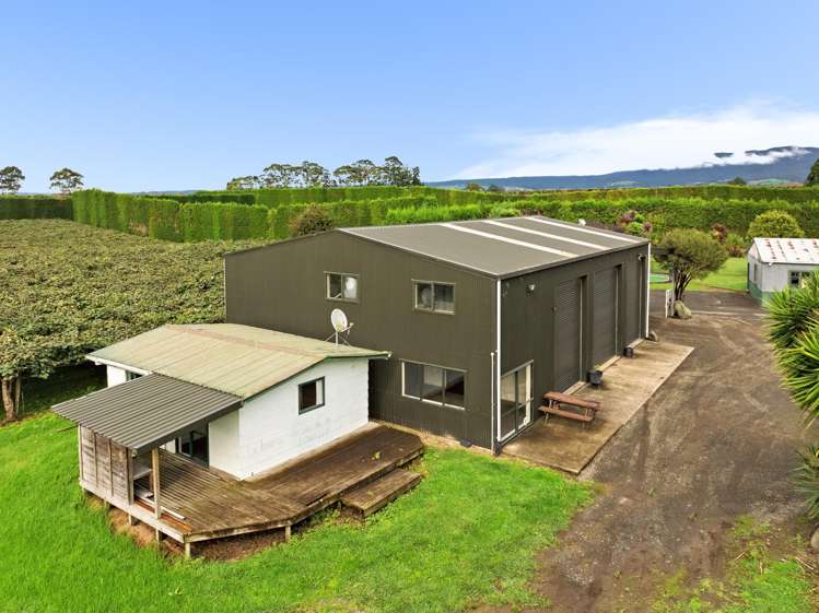 236 Walker Road East Aongatete_4