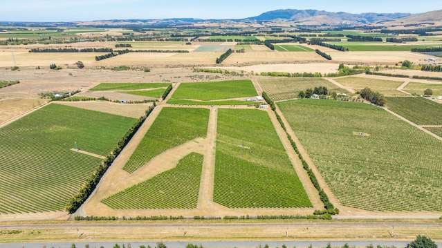 Producing Vineyard with Potential