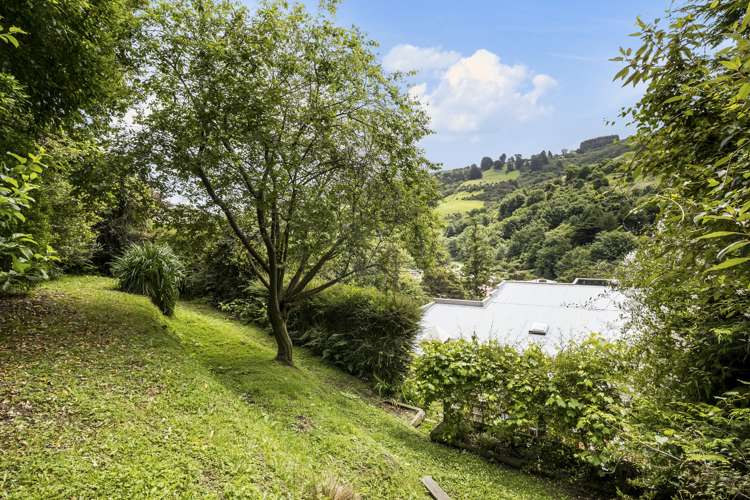 488 North Road Normanby_16