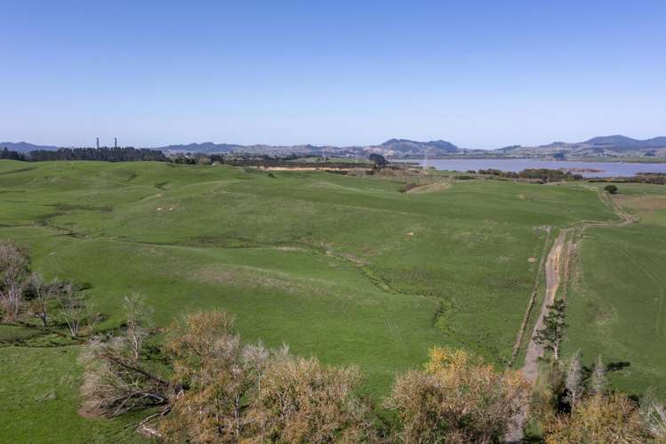 579 Hetherington Road Rotongaro_20