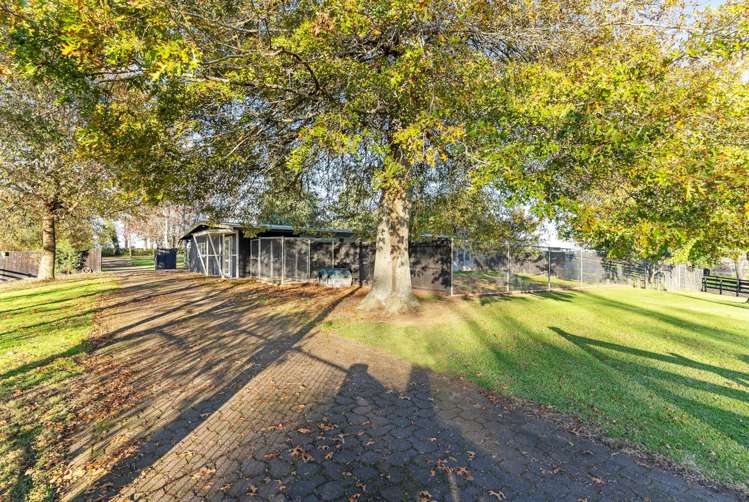28 Foster Road Te Kauwhata_17