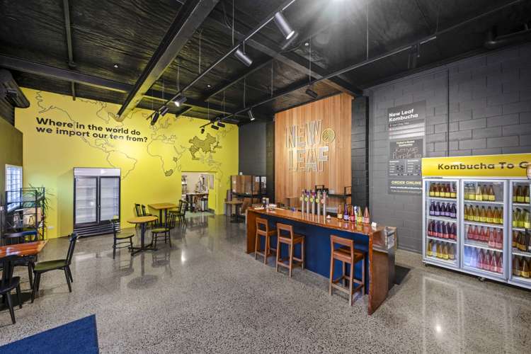 37 Crummer Road Grey Lynn_3