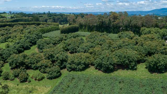 56 Kauri Point Road Katikati_2