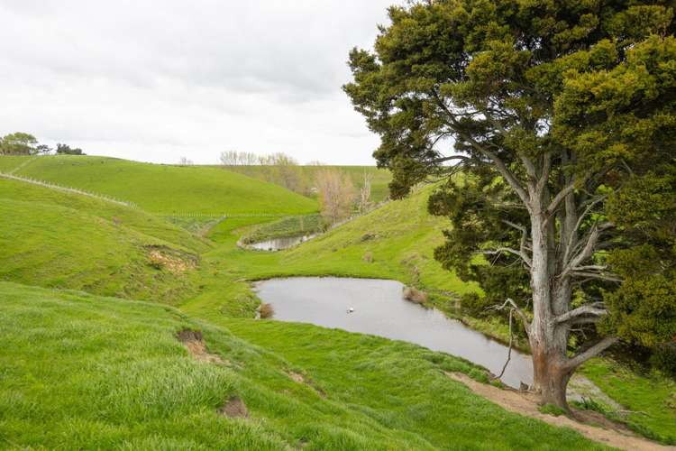 234 Sandon Road Feilding_15