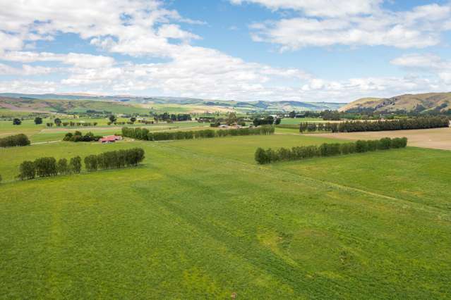 51 & 4964 Roxburgh-Ettrick Road Ettrick_3