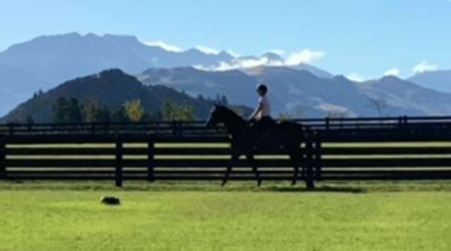 474 Wanaka-Luggate State Highway Wanaka_4