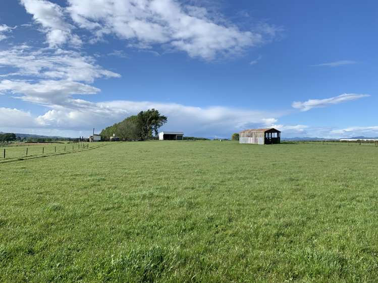 418 Mangateparu Loop Road Morrinsville_6