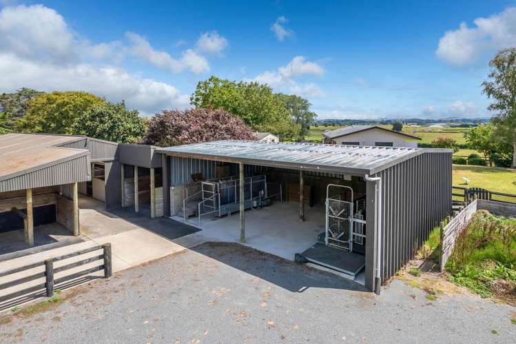 4602A State Highway 29 Matamata_10