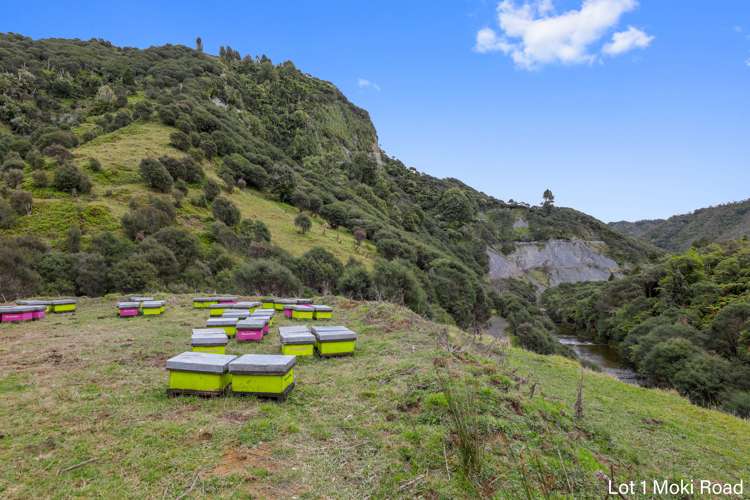 Lot 1 Moki Road, Tahora Taumarunui_13