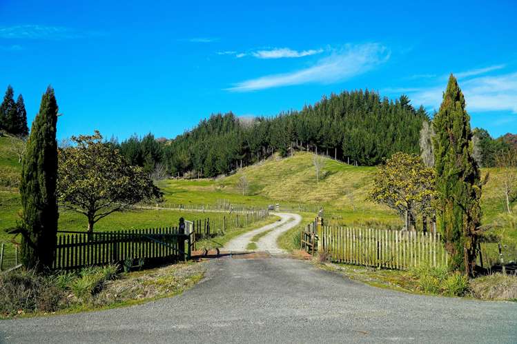 40 Ormond Valley Road Ormond_18