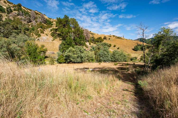 1845 Dovedale Road Woodstock_18