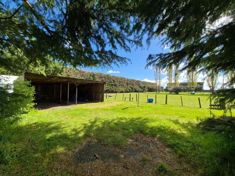 50 Ivey Road Christchurch Central_24
