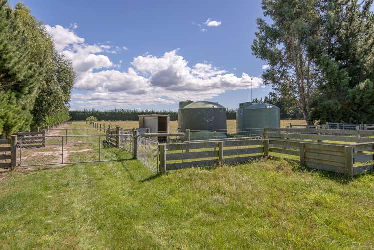 164 Smiths Road Leithfield_22