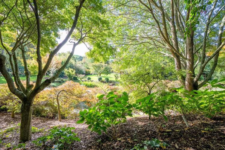 2306 Buckland Road Karapiro_30