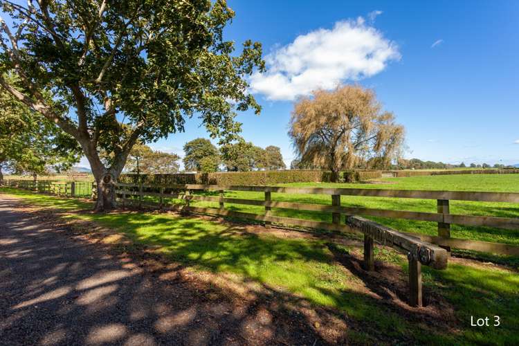 Lot 1 and 3/441 Taihoa South Road Matamata_15