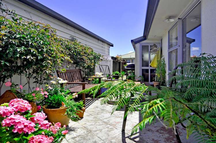 8 Musgrave Crescent Tahunanui_15