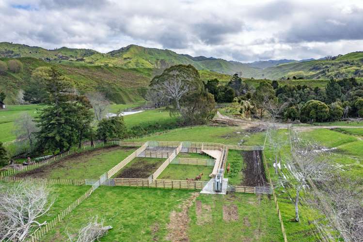 783 Glenroy Road Whangara_20