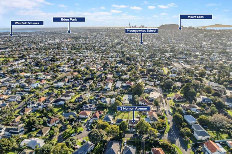 3 Hamon Avenue Mount Roskill_22
