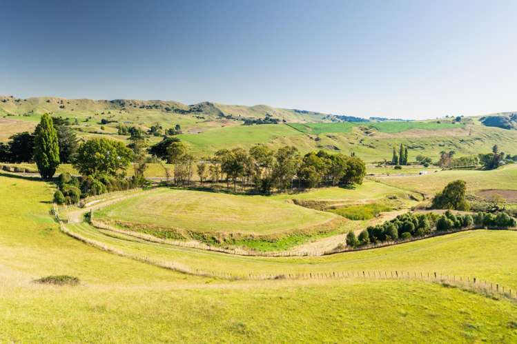 2365 State Highway 2 Poukawa_1