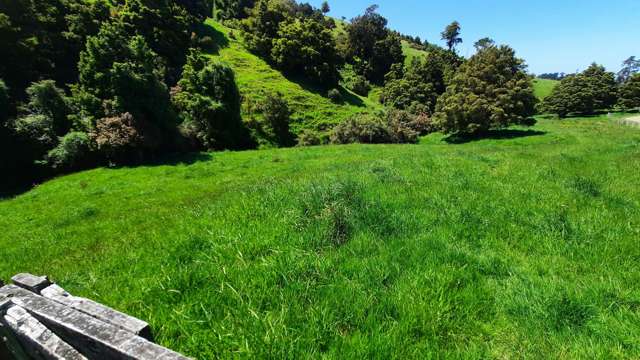 183 Gunn Road Waitepeka_2