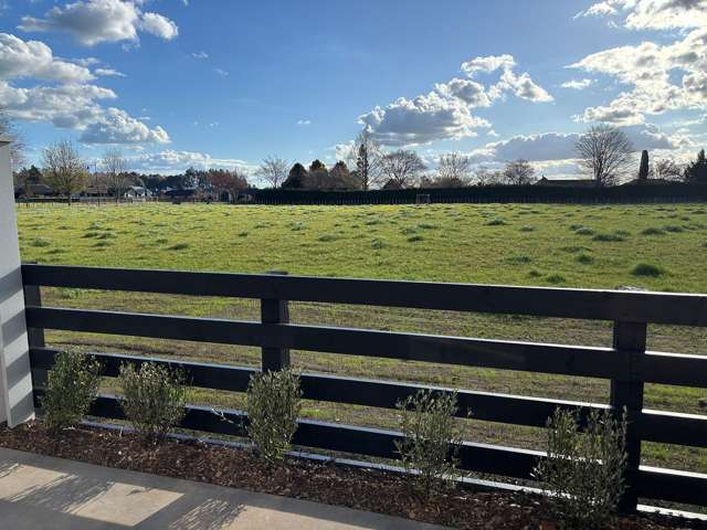 17 Ngakinga Lane Leamington_3