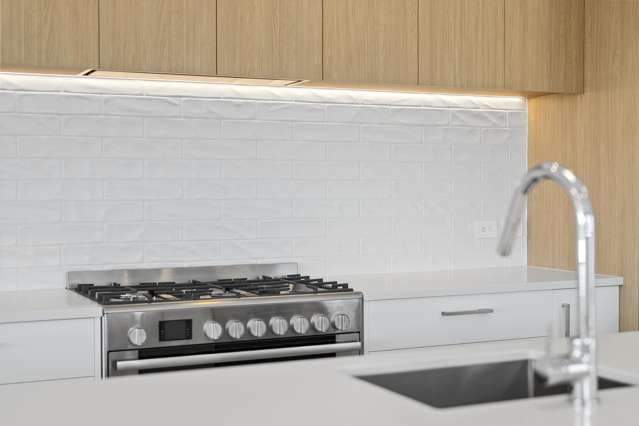 Lot 113 Hass Drive Ohauiti_2