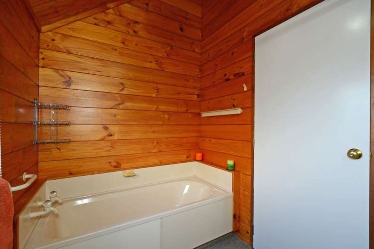 7a Charleston Avenue Boulcott_17