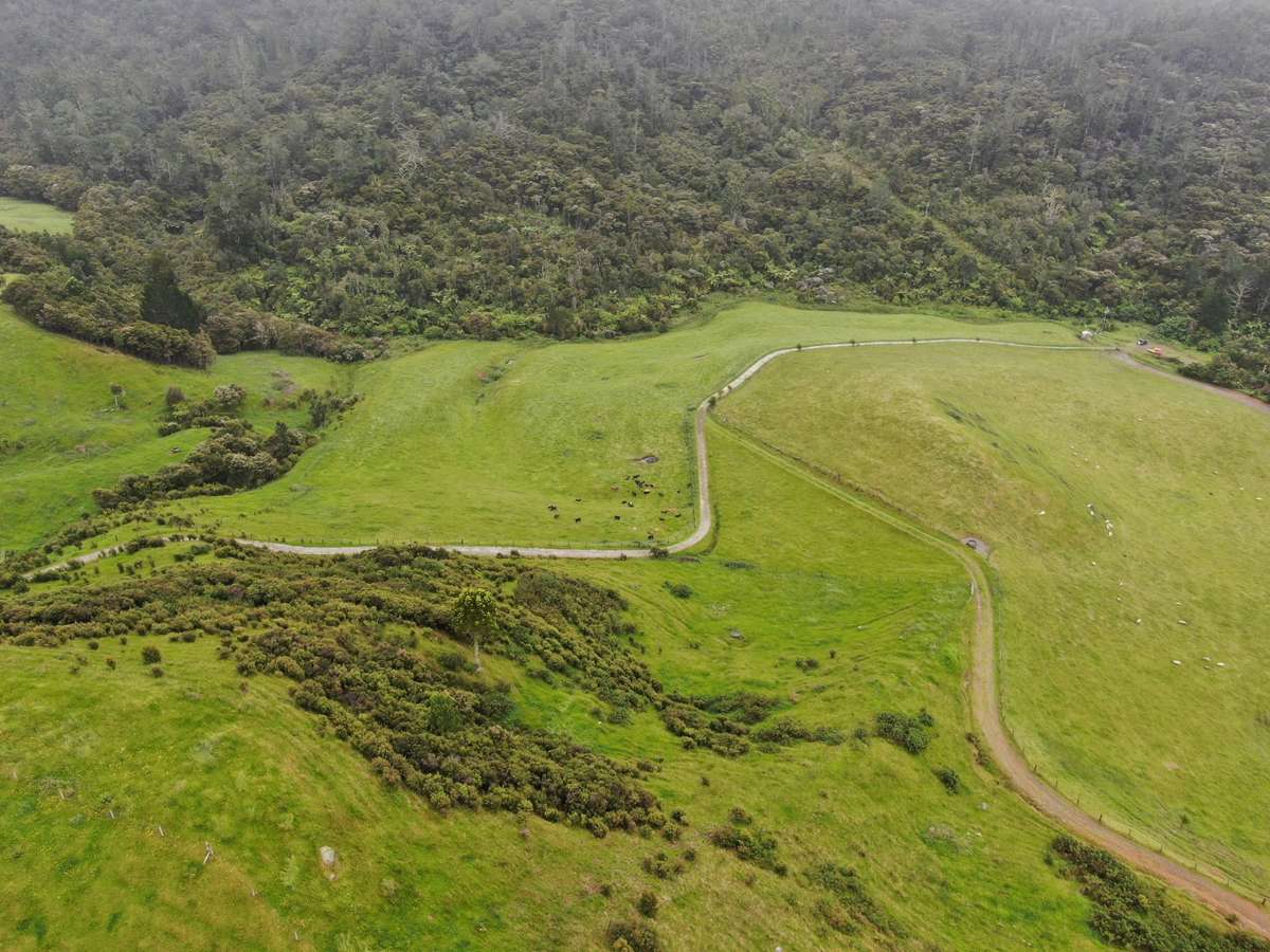 Lot 7/3327 State Highway 25, Tairua Road_1