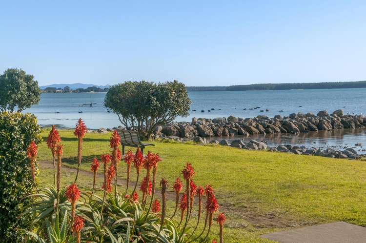 3a Bureta Road Otumoetai_14