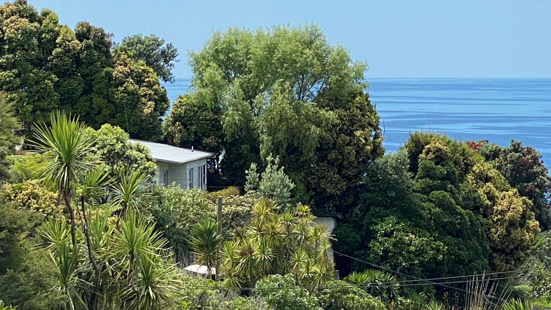 37 Totara Road Leigh_0