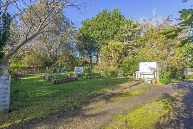 66 Palmer Road Foxton Beach_37