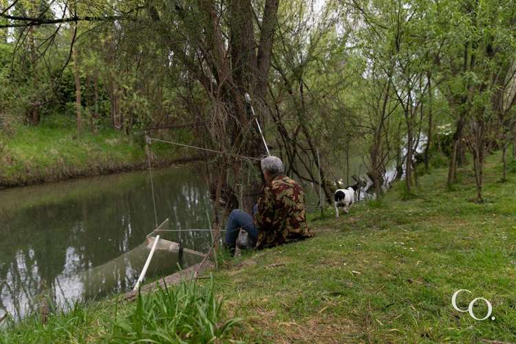 19 Gillies Crescent Waimarama_27