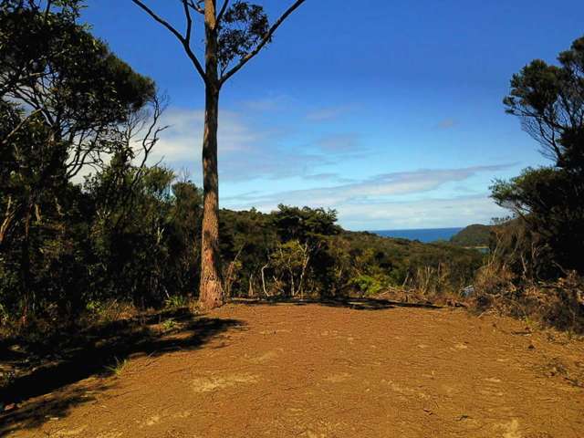 22 Harpoon Hill Great Barrier Island (Aotea Island)_1