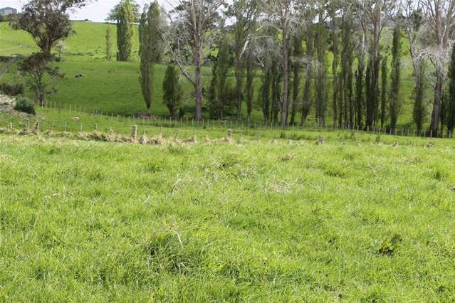 Church Road Matakohe_3