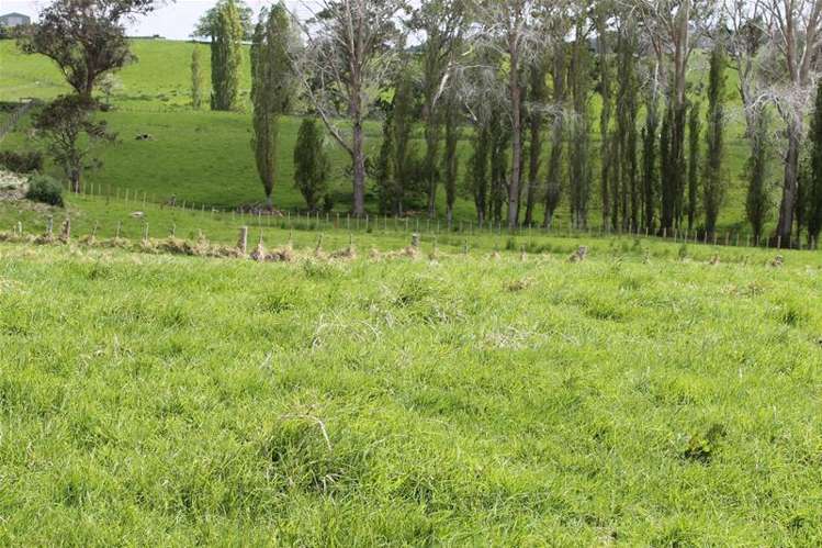 Church Road Matakohe_3