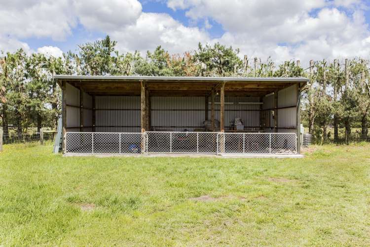 2601 Wards Road Darfield_5