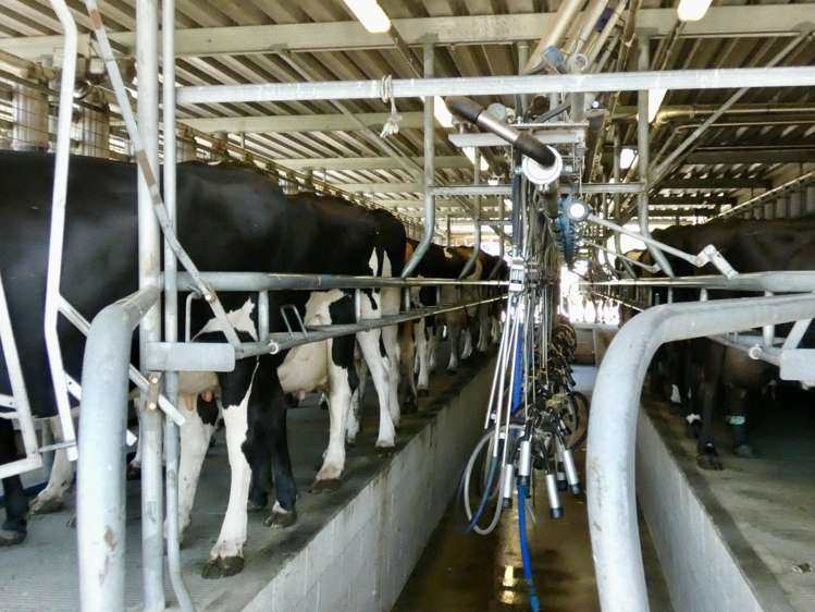 400 Keens Road Springfield_11