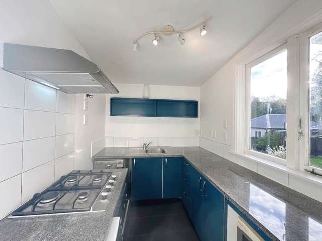 23B Commercial Road Grey Lynn_4