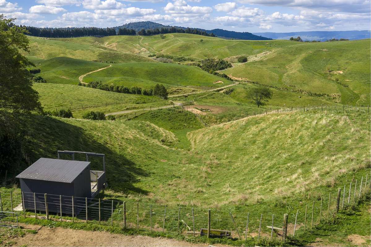 Lot 2/205 Oliver Road_4