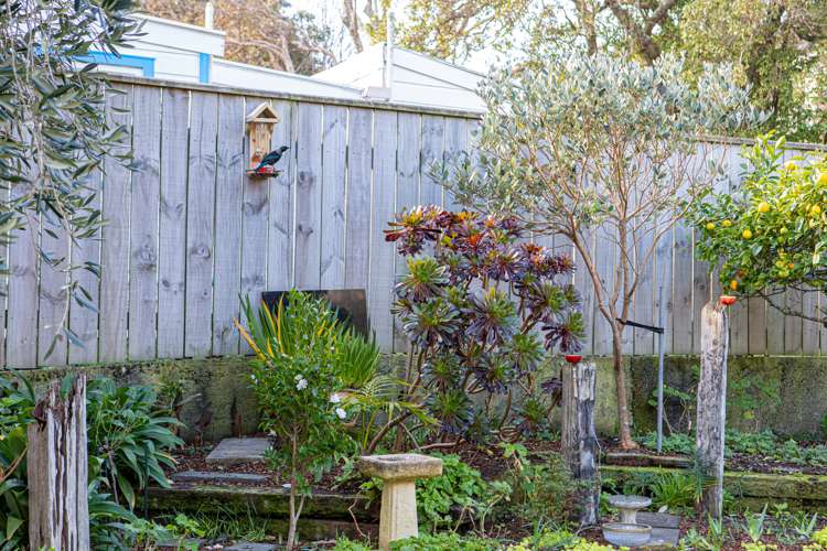 82 Darlington Road Miramar_19