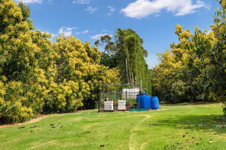 967 State Highway 14 Maungatapere_31